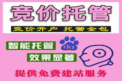 成功案例：竞价SEM托管助力企业拓展市场
